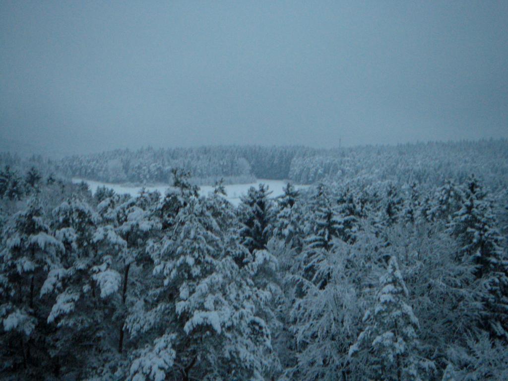 Gasthof Jaegerheim Birgland Екстериор снимка
